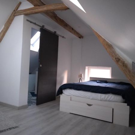 Sandrine La Ferté-Saint-Aubin Exterior foto